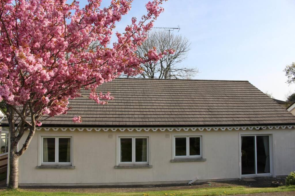 Sunny Holiday home *